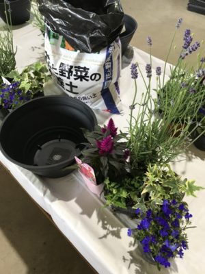 コンテナガーデン