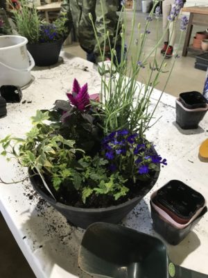 コンテナガーデン