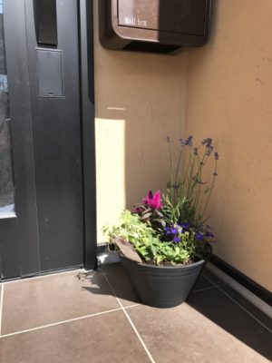 コンテナガーデン