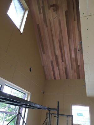 ウエスタンレッドシダー