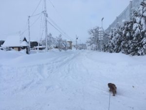 十勝　大雪