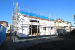 タイベックシート